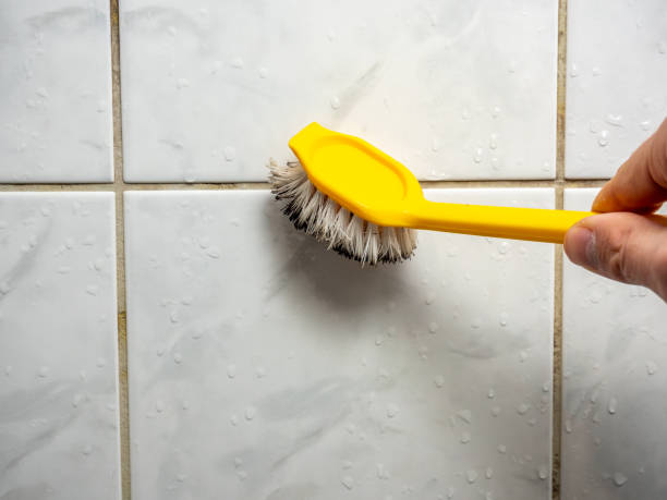Best Mold Remediation  in Skippers Corner, NC