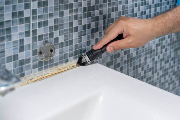 Best Residential Mold Removal  in Skippers Corner, NC